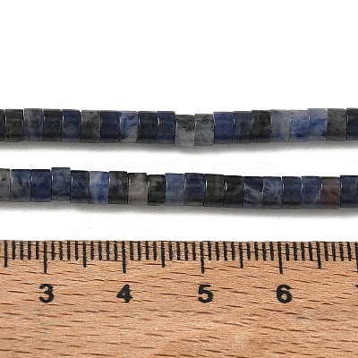 Natural Sodalite Beads Strands G-H230-10-1