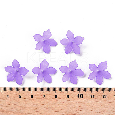 Frosted Acrylic Bead Caps LS-X-MACR-S371-05A-747-1