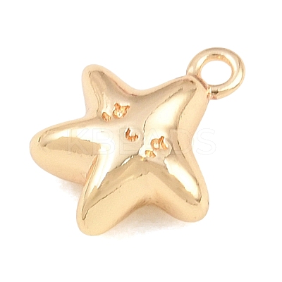 304 Stainless Steel Charms SA-CBA4377-02D-G-1