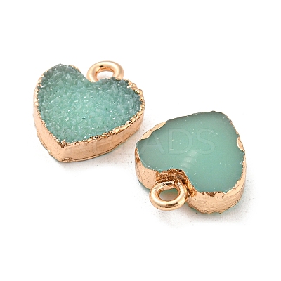 Resin with Golden Zinc Alloy Charms LS-RESI-CJC0009-04D-1