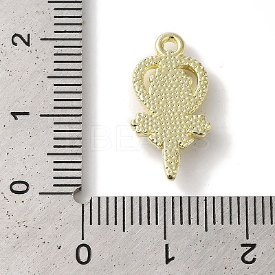 Rack Plating Alloy Pendants FIND-I039-008G-01-1