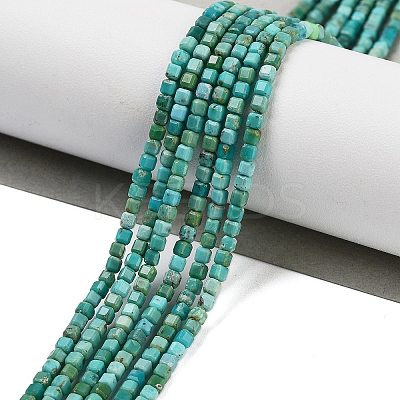 Natural HuBei Turquoise Beads Strands G-H042-B34-01-1