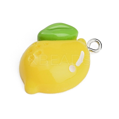 Resin with Alloy Pendants LS-RE-CBA08CD-09A-1