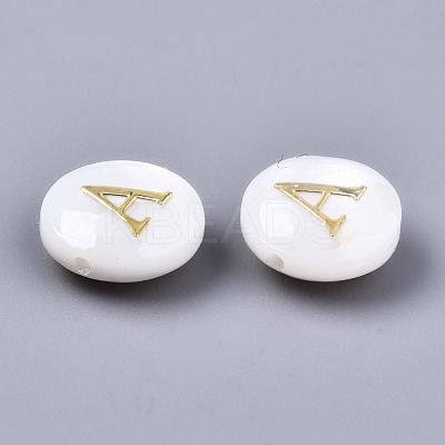 Natural Freshwater Shell Beads SHEL-S266-12-1