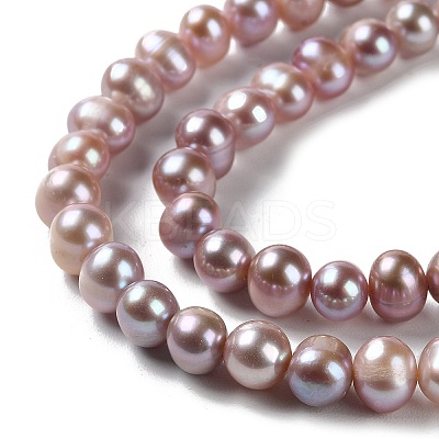 Natural Cultured Freshwater Pearl Beads Strands PEAR-E018-18-1