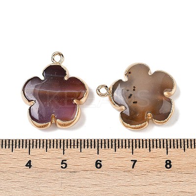Natural Red Agate Pendants G-P566-01G-02-1