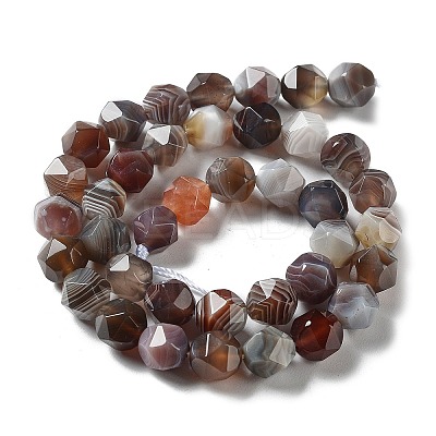 Natural Botswana Agate Beads Strands G-NH0002-C01-03-1