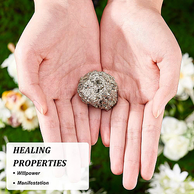 Nuggets Natural Pyrite Display Decorations DJEW-WH0042-02-1