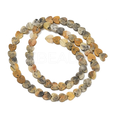 Natural Crazy Agate Beads Strands G-A272-A01-09-1