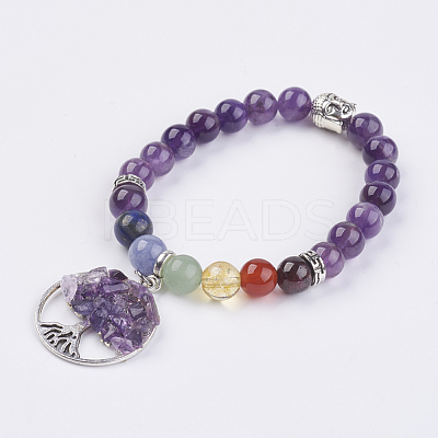 Chakra Jewelry Natural & Synthetic Mixed Stone Beads Charm Bracelet BJEW-JB03608-1