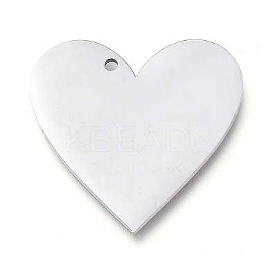 Tarnish Resistant 304 Stainless Steel Pendants LS-STAS-L238-098B-P-1