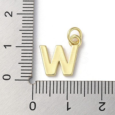 Rack Plating Brass Charms KK-P245-06G-W-1