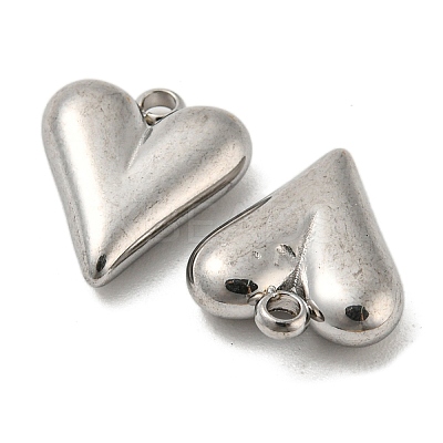 Non-Tarnish 304 Stainless Steel Charms STAS-L022-108P-07-1