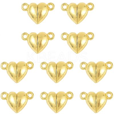 10 Bags Alloy Magnetic Clasps with Loops FIND-FS0004-88G-1