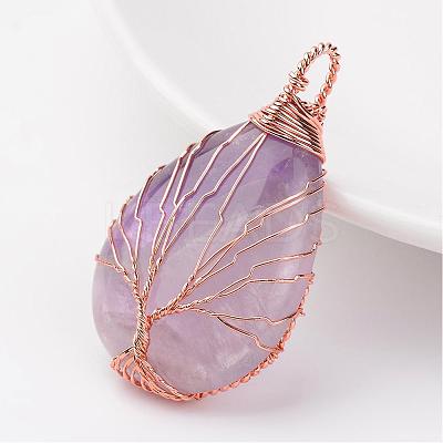 Natural Amethyst Pendants G-K122-09RG-1