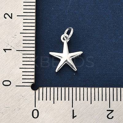 925 Sterling Silver Charms FIND-Z069-04S-A-1