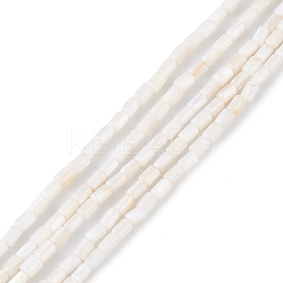 Natural Freshwater Shell Dyed Beads Strands X-SHEL-M018-12-12-1