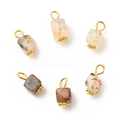Natural Agate Pendants PALLOY-JF01586-04-1