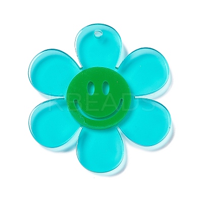 Transparent Acrylic Big Pendants OACR-P012-A07-1