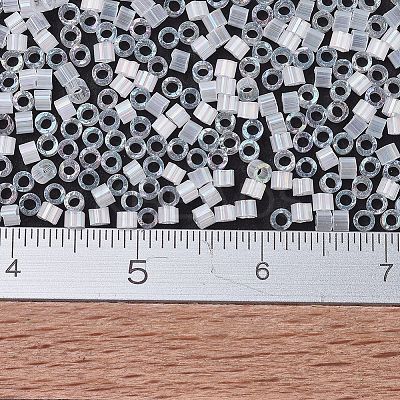 MIYUKI Delica Beads X-SEED-J020-DB0670-1