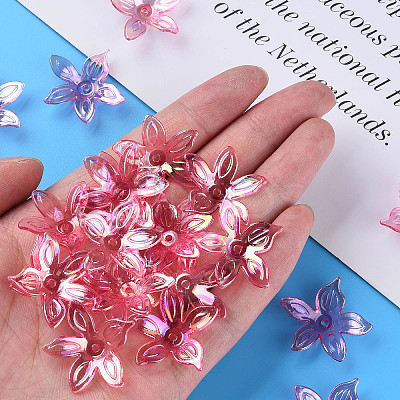 Transparent Acrylic Beads MACR-S373-102-C-1