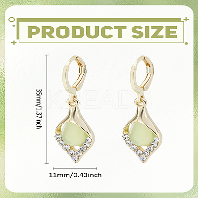 1Pair Alloy Hoop Earrings EJEW-LP0008-041-1