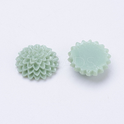 Opaque Resin Cabochons X-CRES-R021-M-1