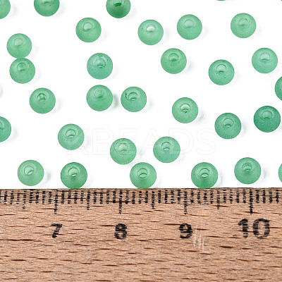 FGB Frosted Transparent Glass Seed Beads SEED-N013-02A-09-1