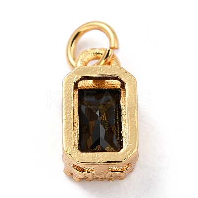 Real 18K Gold Plated Brass Inlaid Cubic Zirconia Charms ZIRC-L100-075G-07-1