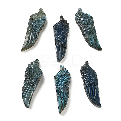 Natural Labradorite Carved Cabochons G-C152-05-1