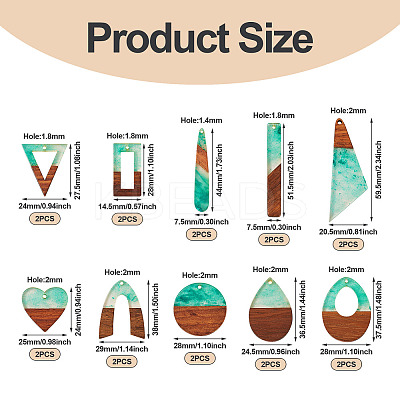 20Pcs 10 Styles Transparent Resin & Walnut Wood Big Pendants RESI-TA0002-99A-1
