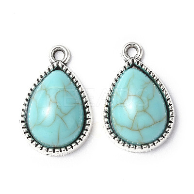 Resin Imitation Turquoise Pendants PALLOY-M203-22AS-1