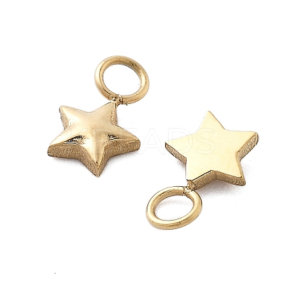 304 Stainless Steel Charms STAS-M111-32G-1