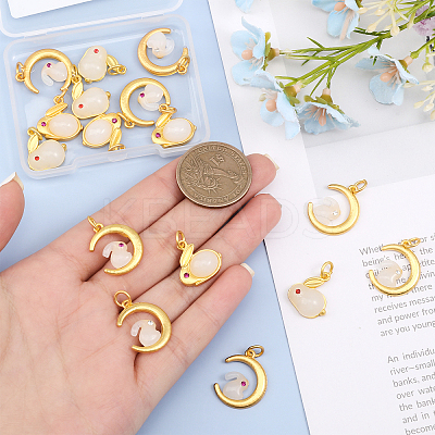 16Pcs 4 Style Glass Charms FIND-CA0006-77-1