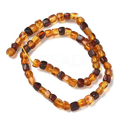 Natural Amber Beads Strands G-K387-E02-01-1