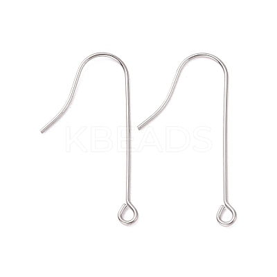 Tarnish Resistant 316 Surgical Stainless Steel Earring Hooks STAS-E027-02B-P-1