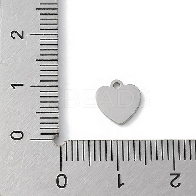 304 Stainless Steel Stamping Blank Tag Charms LS-STAS-E501-02P-1