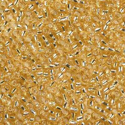 8/0 Glass Seed Beads SEED-A005-3mm-22-1