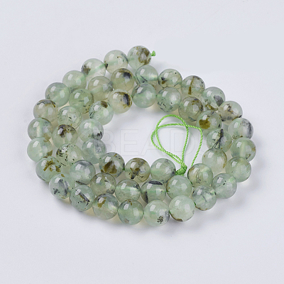 Natural Prehnite Beads Strands LS-G-G457-8mm-03-1