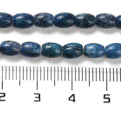 Natural Dolomite Beads Strands G-F765-A03-01-1