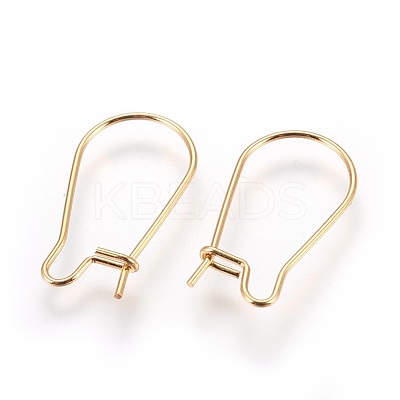 304 Stainless Steel Hoop Earrings STAS-P227-13G-1