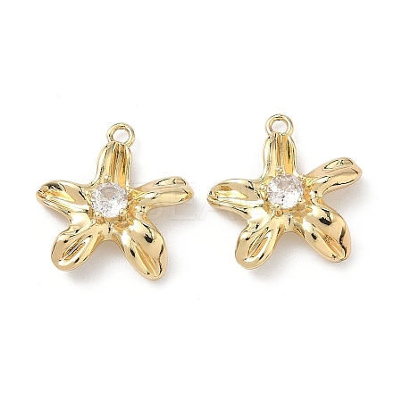 Brass Micro Pave Cubic Zirconia Pendants LS-KK-L260-10G-1