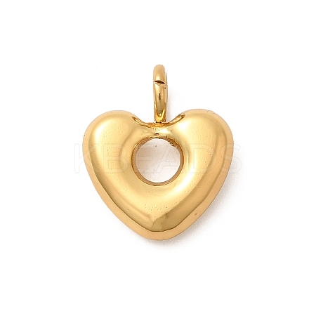 304 Stainless Steel Pendants STAS-C163-01A-G-1