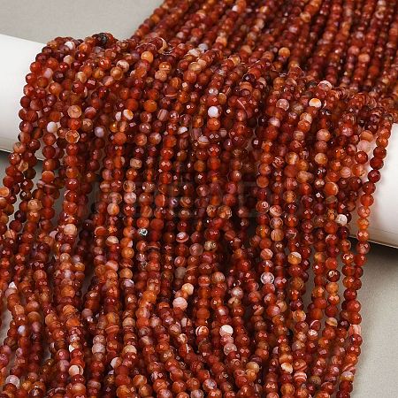 Natural Carnelian Beads Strands X-G-RM250101-C17-1