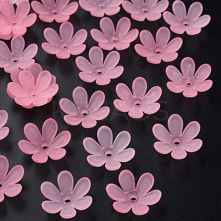 Transparent Acrylic Beads LS-MACR-S373-107-D05-1