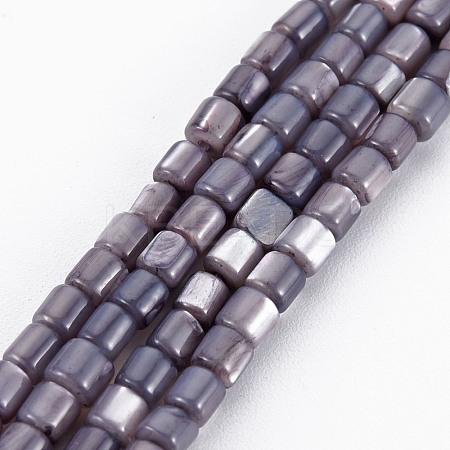 Natural Trochid Shell/Trochus Shell Bead Strands SSHEL-N034-112-1