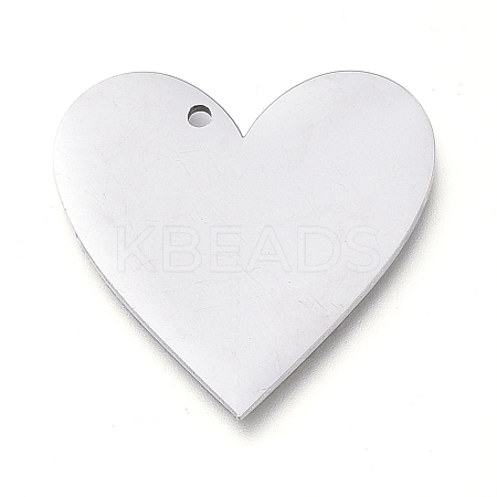 Tarnish Resistant 304 Stainless Steel Pendants LS-STAS-L238-098B-P-1
