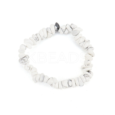 Natural Howlite Chips Beaded Stretch Bracelet for Women PW-WG72437-17-1