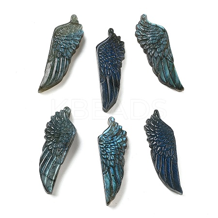 Natural Labradorite Carved Cabochons G-C152-05-1