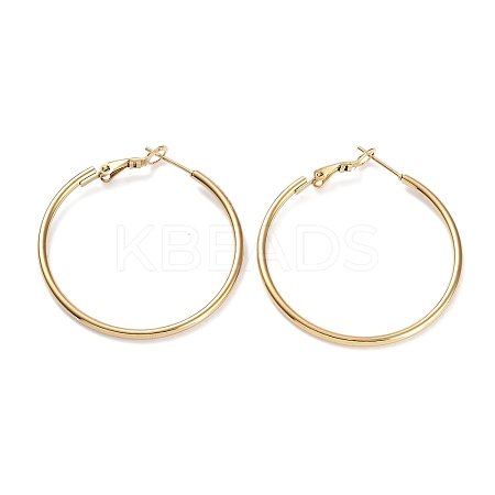 Ring 304 Stainless Steel Hoop Earrings for Women Men EJEW-B049-02D-G-1